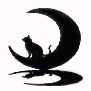 Beard V Twitter 食後のタンゴ 猫 茶白猫 デブ猫 でぶねこ部 保護猫 満腹 にゃんすたぐらむ Cat Catstagram 万年ダイエット中 テーブルねこ タンゴ