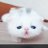 なぎもえのアイコン