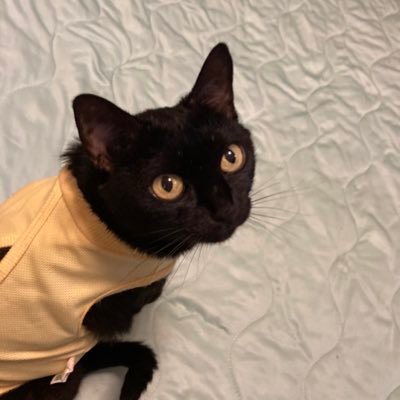 bohchan_yuko's profile picture. 