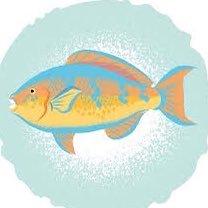 沖縄釣り魚bot Okinawa Fish Twitter 沖縄釣り魚bot Okinawa Fish Twitter