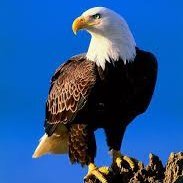 Outley_CIA (@outley_cia) 's Twitter Profile