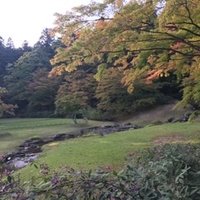 さらさらり (@jvggs4bb20u5zr9) 's Twitter Profile
