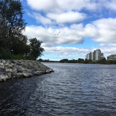 Nas40Nas's profile picture. رُبَّ كلمة تقول لصاحبها دعني!