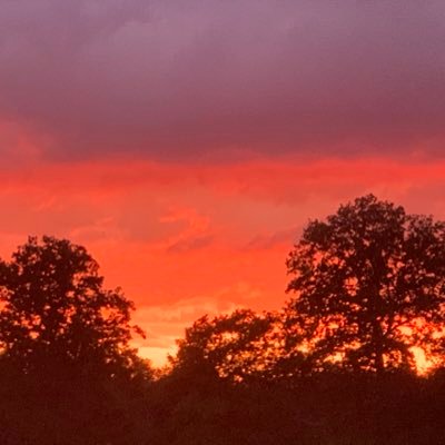 Ronja70422745's profile picture. THE BEACH IS MY HAPPY PLACE ! LOVE ❤️ CANADA 🇨🇦, NZ 🇳🇿, SUNSETS, OCEANS, BEACH, MOUNTAINS, FOREST & MY HOME