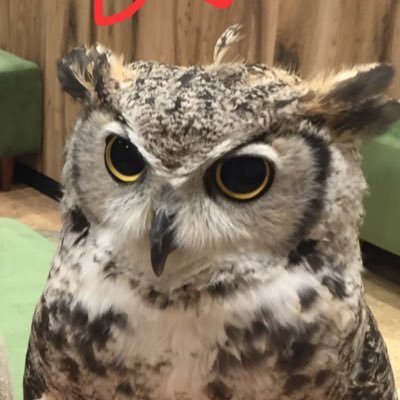 Hiro タイドラマ専用垢 Hsotus Twitter Hiro タイドラマ専用垢 Hsotus Twitter