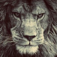 BC (@saot2nd) 's Twitter Profile