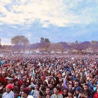 Simba sports club fan, /Manchester United fan /Real Madrid ✌✌✌✌