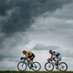 Michiel van Halder (@michielvhalder) Twitter profile photo Michiel van Halder (@michielvhalder) Twitter profile photo