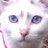 Delgado40671113's profile image