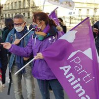 💜 Cécile 🐿 Élue à la Cause Animale(@ColletCcile1) 's Twitter Profileg