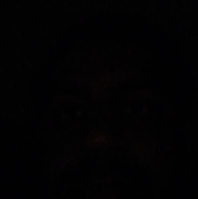 Gauti_Indian's profile picture. Keen to learn