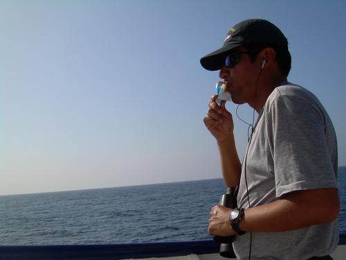 Biólogo, ecología marina y conservación d depredadores superiores. Punkeke redimido, políticofóbico. ARMY dad. Marrón semideconstruido. Twiteo a título personal