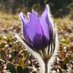 Yukon Patient Advocate Group (@yukonpatient) Twitter profile photo Yukon Patient Advocate Group (@yukonpatient) Twitter profile photo