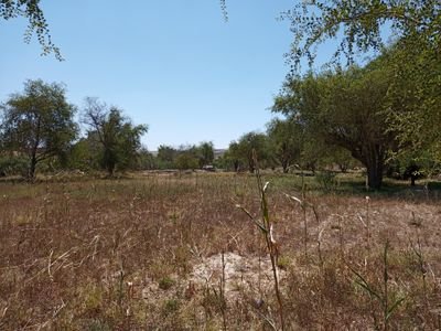 NodWVdouk1Fwymm's profile picture. لافرق بين عجمي ولا عربي الا بالتقوي