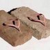 Brickroom Kicks ($100 or Less) (@brickroomkicks) Twitter profile photo Brickroom Kicks ($100 or Less) (@brickroomkicks) Twitter profile photo