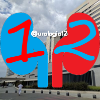 Department of Urology, Hospital 12 De Octubre(@Urologia12) 's Twitter Profile Photo