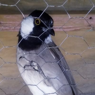 DAsp0SwigUREGzf's profile picture. 