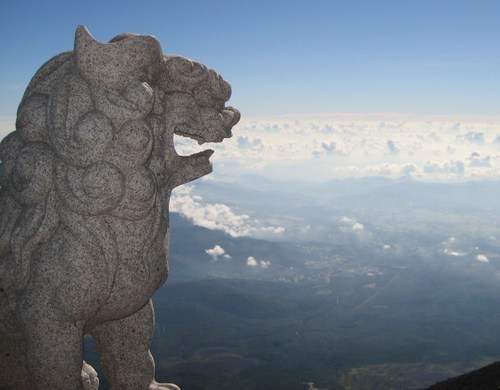 tulio_416's profile picture. ツイッター初心者！ スポーツ観戦もスポーツも好き。 アプリの作成を目指して勉強しようと思ってます^_^; プログラミングとか初心者なので、もし宜しければ教えて頂けたらと思います。 どうぞ宜しくお願いします。