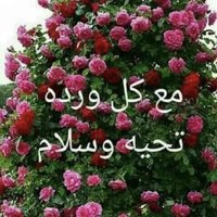 عبد الرازق عبد الله الحسوني القريشي (@ywgpx1ae7hrrcrl) 's Twitter Profile