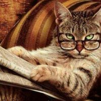 CG79 (@cg7912) 's Twitter Profile