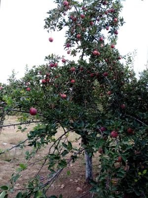 BilalMeral16's profile picture. 