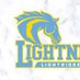 LRHS_Esports (@esports_lrhs) Twitter profile photo LRHS_Esports (@esports_lrhs) Twitter profile photo