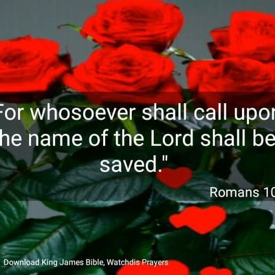 james06584039's profile picture. no