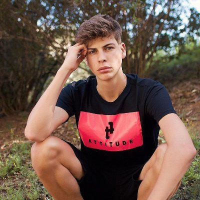 Fanboy . My life is  The Dolan twins & Why Dont We  Shawn Mendes Payton Moormeier