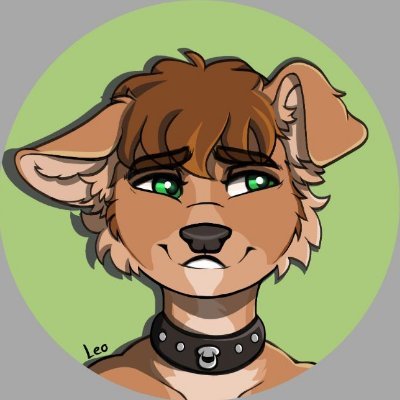 Leoさんのプロフィール画像