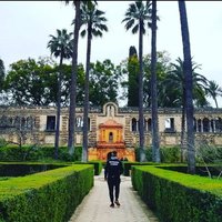 de la Torre (@_ldela98) 's Twitter Profile