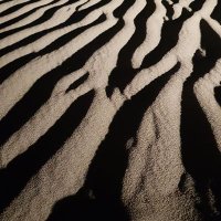 علي المنصوري (@buklifh) 's Twitter Profile Photo