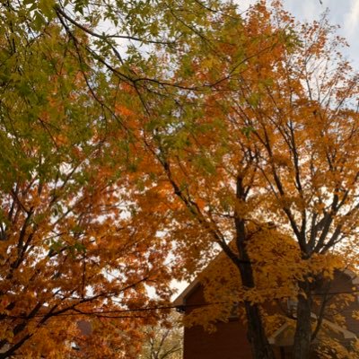 baitannie's profile picture. BTS appreciation corner