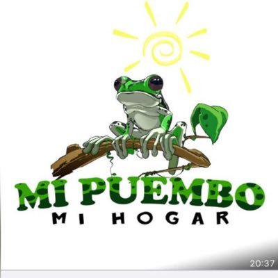 MiPuembo Profile Picture