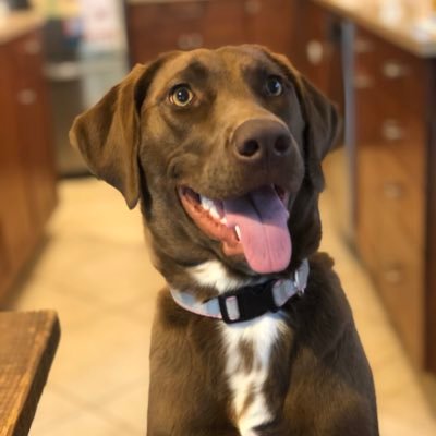 beabossmom's profile picture. 