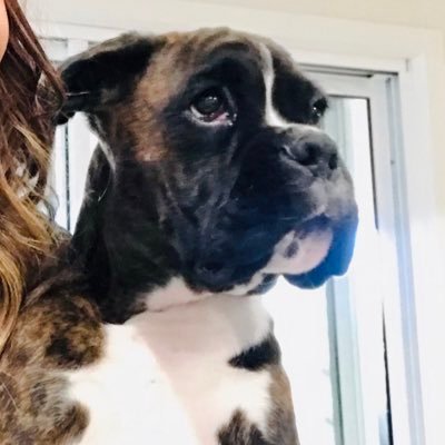 titymontenegro's profile picture. 