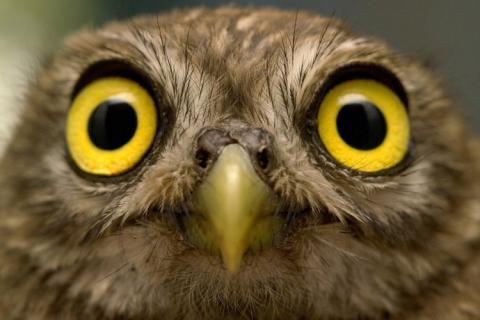 Dgtl_Individual's profile picture. Ich liebe das Netz und den Netzgedanken, Feingeistiges, Grobschlächtiges, Freiheitliches, Individuelles. Betrete gerne Wege jenseits ausgetretener Pfade.