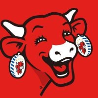 ベルキューブ@ラッフィングカウ (@belcube_jp) 's Twitter Profile