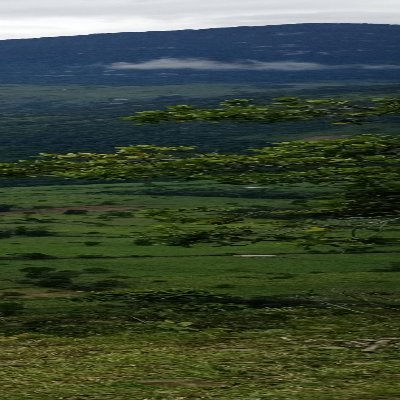 Viktor66985179's profile picture. Barajitas