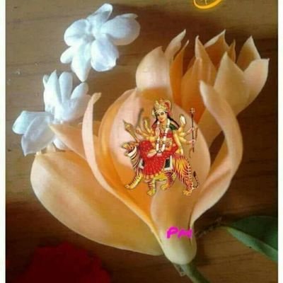 SuprimeeS's profile picture. 