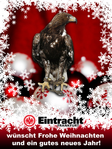 ffmjun's profile picture. KESS/Debate/Eintracht Frankfurt/フランクフルト日本人学校/チリ