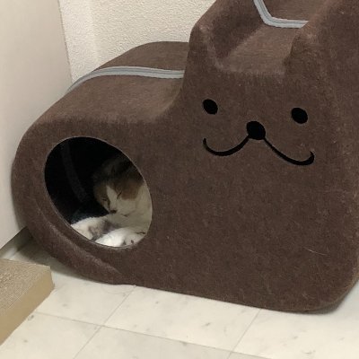 投資・投機に少し詳しい。為替(FX)自動売買ソフト作成してます。 アイデア募集、商品補足説明、販促などなど あと猫好きです。猫はウソをつかない、裏切らない、忖度しない! #システムトレード #gogojungle