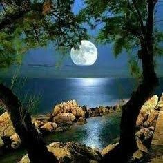 Manju59446523's profile picture. I am a creative girl with techy lover.