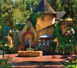 Utah's premiere authentic French restaurant nestled stream-side at the mouth of Little Cottonwood Canyon. Perfect for your next event or special evening out.