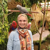 Noha182 (@noha0182) 's Twitter Profile