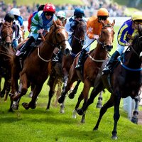 Steve Racing Tips (@radioracingtips) 's Twitter Profile