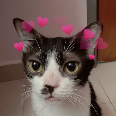 maisaaaaaaaa's profile picture. 