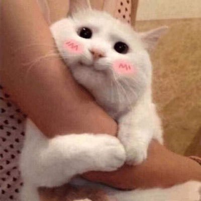 ✨𝓜𝓸𝓻𝓰𝓮𝓷𝓷𝓢𝓽𝓮𝓻𝓷✨さんのプロフィール画像