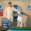 Di angelo nero _ Br - @diangelonero_br - Twitter