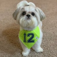 RIP Alice ❤️’s @littlebeastben (@fluffypupalice) 's Twitter Profile