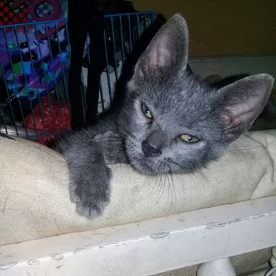 ferchula05's profile picture. FERCHULA PANAMA✨💅👯‍♂️🌺🍨🍫🍰🌈🔥🎉🎁👗👙🛍️👑👡💄💍👠👛🎶💰🛁🗿⚜️🇵🇦💌💝😻🐶🦄